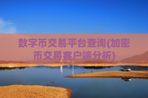 数字币交易平台查询(加密币交易客户端分析)