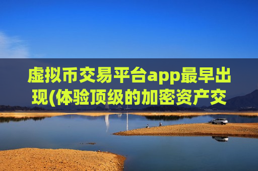 虚拟币交易平台app最早出现(体验顶级的加密资产交易所app)