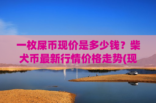 一枚屎币现价是多少钱？柴犬币最新行情价格走势(现价0.00019756元)