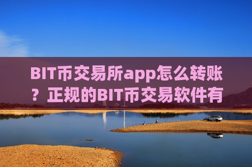 BIT币交易所app怎么转账？正规的BIT币交易软件有哪些