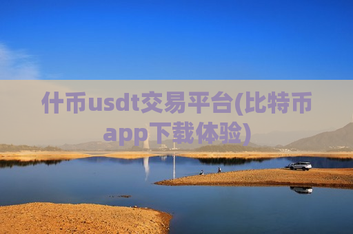 什币usdt交易平台(比特币app下载体验)