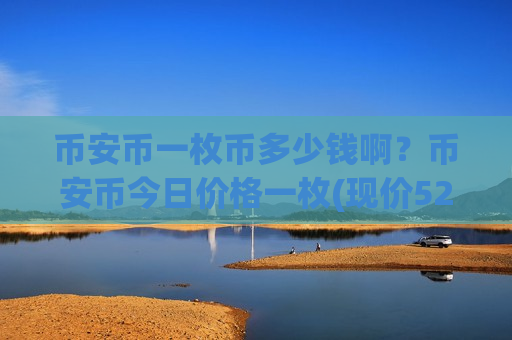币安币一枚币多少钱啊？币安币今日价格一枚(现价5241.11元)