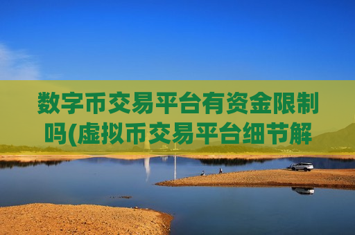 数字币交易平台有资金限制吗(虚拟币交易平台细节解析)