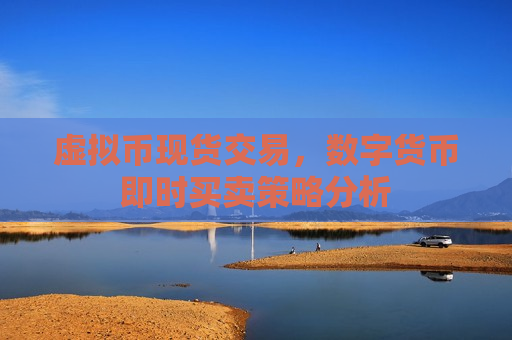 虚拟币现货交易，数字货币即时买卖策略分析-第1张图片-币圈网