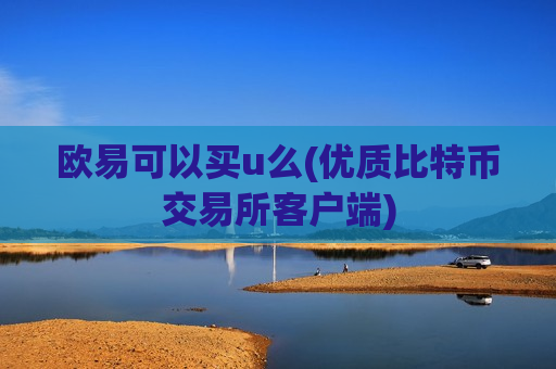 欧易可以买u么(优质比特币交易所客户端)