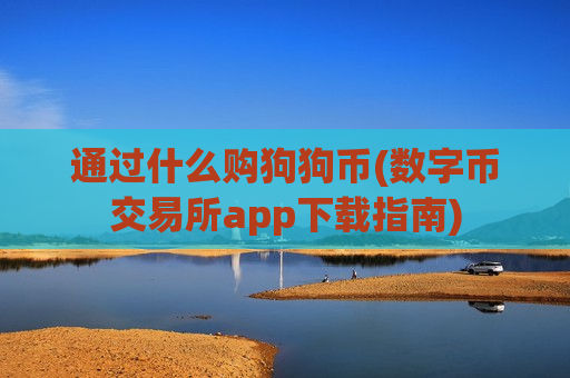 通过什么购狗狗币(数字币交易所app下载指南)-第1张图片-币圈网