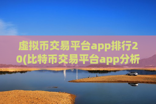 虚拟币交易平台app排行20(比特币交易平台app分析)