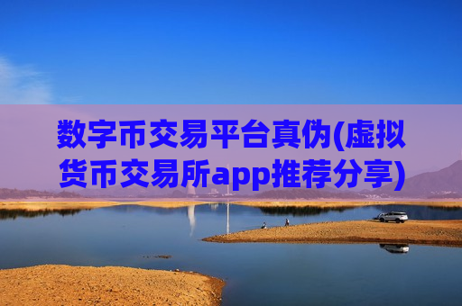 数字币交易平台真伪(虚拟货币交易所app推荐分享)
