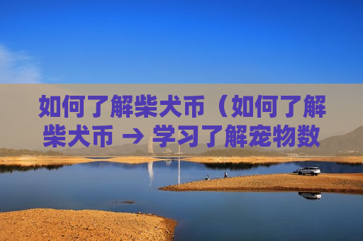 如何了解柴犬币(如何了解柴犬币 → 学习了解宠物数字货币)-第1张图片-币圈网 如何了解柴犬币(如何了解柴犬币 → 学习了解宠物数字货币)-第1张图片-币圈网