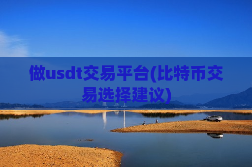 做usdt交易平台(比特币交易选择建议)