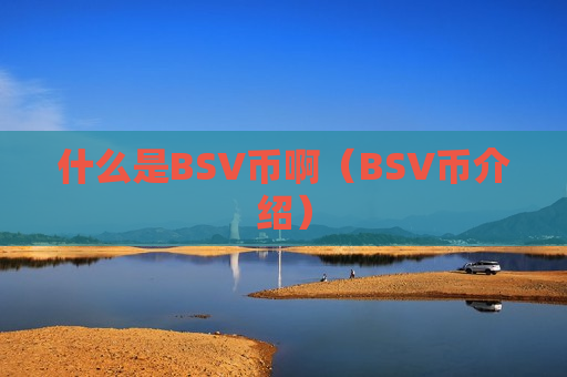 什么是BSV币啊（BSV币介绍）