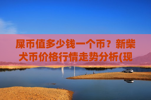 屎币值多少钱一个币？新柴犬币价格行情走势分析(现价0.00020037元)