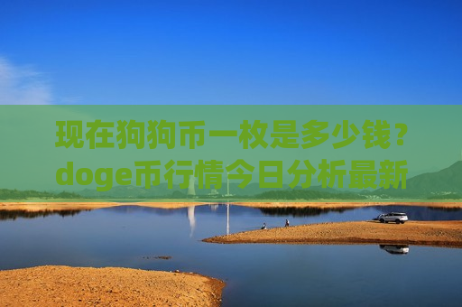 现在狗狗币一枚是多少钱？doge币行情今日分析最新(现价2.9465元)