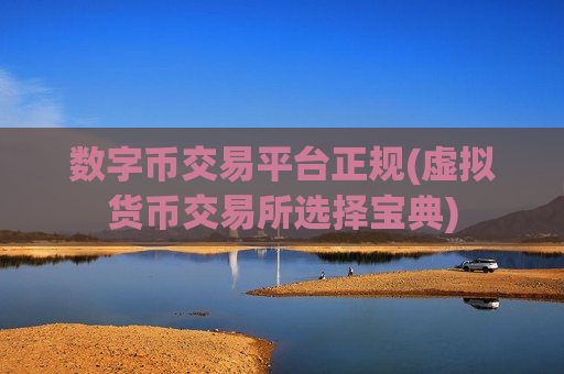 数字币交易平台正规(虚拟货币交易所选择宝典)