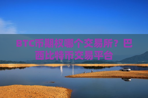 BTC币期权哪个交易所？巴西比特币交易平台