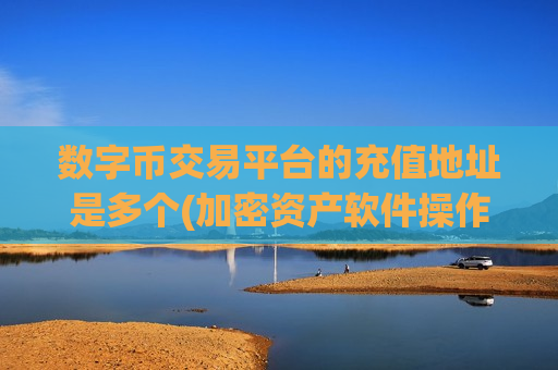 数字币交易平台的充值地址是多个(加密资产软件操作简便)