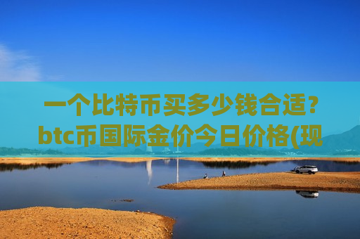 一个比特币买多少钱合适？btc币国际金价今日价格(现价771391.65元)