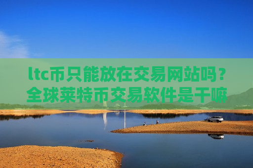 ltc币只能放在交易网站吗？全球莱特币交易软件是干嘛的