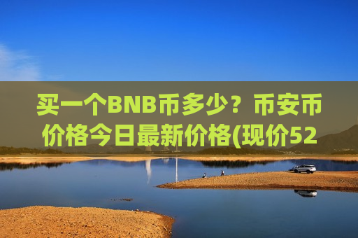 买一个BNB币多少？币安币价格今日最新价格(现价5285.93元)