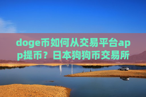 doge币如何从交易平台app提币？日本狗狗币交易所网站