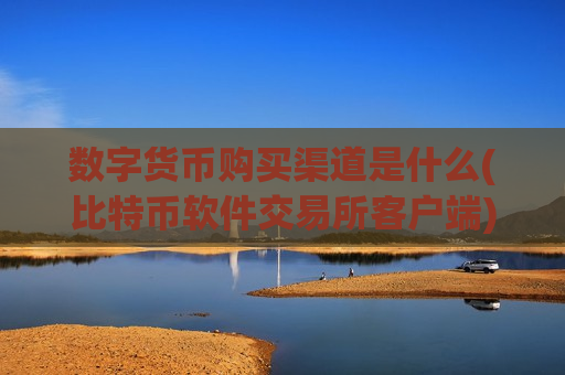 数字货币购买渠道是什么(比特币软件交易所客户端)