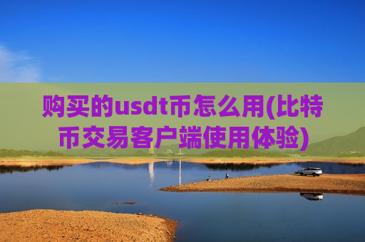购买的usdt币怎么用(比特币交易客户端使用体验)-第1张图片-币圈网 购买的usdt币怎么用(比特币交易客户端使用体验)-第1张图片-币圈网