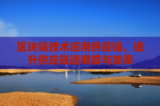 区块链技术应用供应链,提升供应链透明度与效率-第1张图片-币圈网 区块链技术应用供应链,提升供应链透明度与效率-第1张图片-币圈网