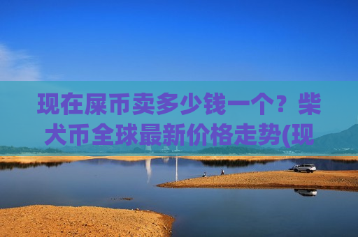 现在屎币卖多少钱一个？柴犬币全球最新价格走势(现价0.00019652元)