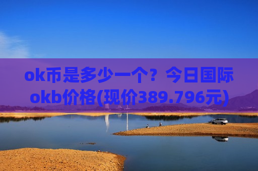 ok币是多少一个？今日国际okb价格(现价389.796元)