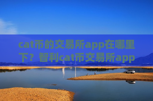 cat币的交易所app在哪里下？智利cat币交易所app下载