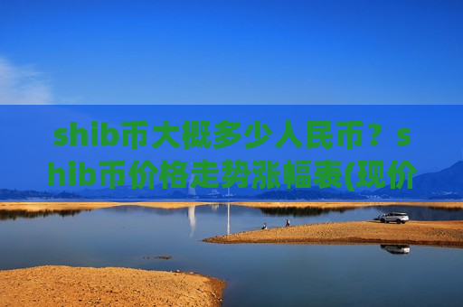 shib币大概多少人民币？shib币价格走势涨幅表(现价0.00019651元)