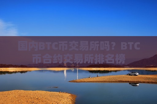 国内BTC币交易所吗？BTC币合约交易所排名榜