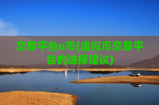 交易平台u币(虚拟币交易平台的选择建议)