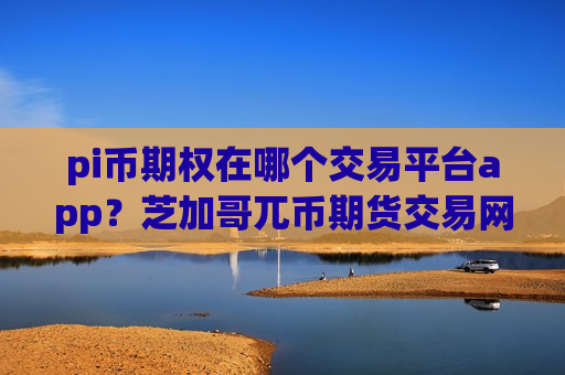 pi币期权在哪个交易平台app？芝加哥兀币期货交易网站