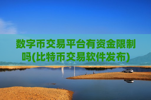 数字币交易平台有资金限制吗(比特币交易软件发布)