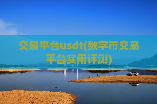 交易平台usdt(数字币交易平台实用评测)