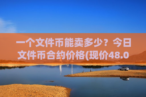 一个文件币能卖多少？今日文件币合约价格(现价48.079元)