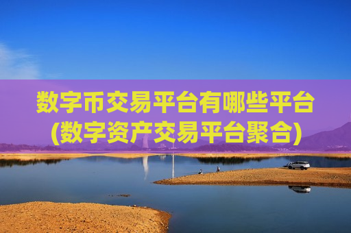 数字币交易平台有哪些平台(数字资产交易平台聚合)