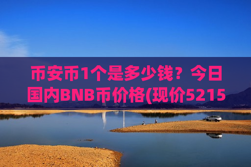 币安币1个是多少钱?今日国内BNB币价格(现价5215.01元)-第1张图片-币圈网 币安币1个是多少钱?今日国内BNB币价格(现价5215.01元)-第1张图片-币圈网