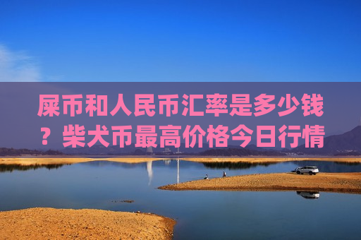 屎币和人民币汇率是多少钱？柴犬币最高价格今日行情(现价0.00015887元)-第1张图片-币圈网