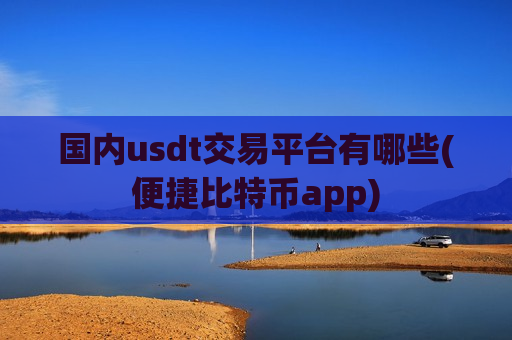 国内usdt交易平台有哪些(便捷比特币app)-第1张图片-币圈网