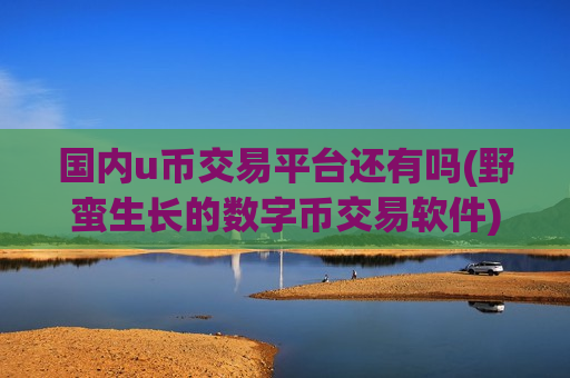 国内u币交易平台还有吗(野蛮生长的数字币交易软件)-第1张图片-币圈网 国内u币交易平台还有吗(野蛮生长的数字币交易软件)-第1张图片-币圈网