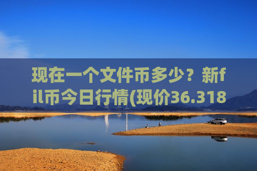 现在一个文件币多少？新fil币今日行情(现价36.3188元)-第1张图片-币圈网