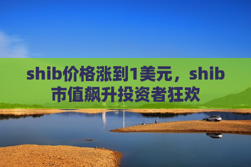 shib价格涨到1美元，shib市值飙升投资者狂欢-第1张图片-币圈网