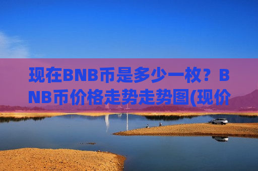 现在BNB币是多少一枚？BNB币价格走势走势图(现价4859.47元)