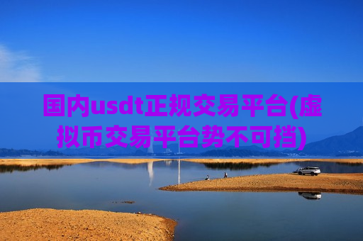 国内usdt正规交易平台(虚拟币交易平台势不可挡)