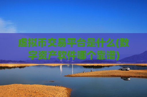 虚拟币交易平台是什么(数字资产软件哪个靠谱)