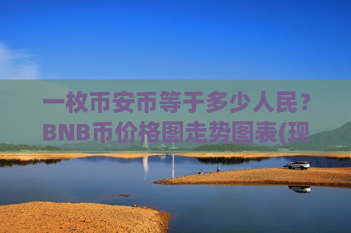 一枚币安币等于多少人民？BNB币价格图走势图表(现价4869.45元)