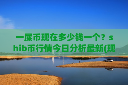 一屎币现在多少钱一个？shib币行情今日分析最新(现价0.00016077元)
