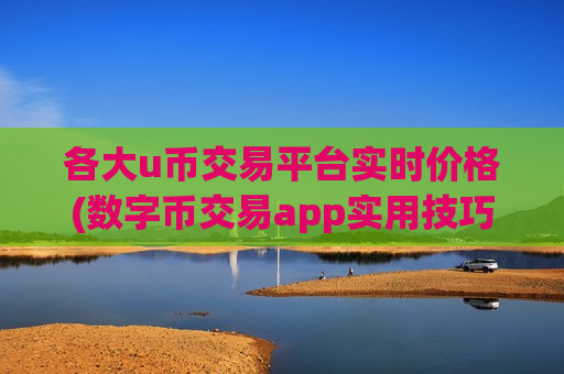 各大u币交易平台实时价格(数字币交易app实用技巧)